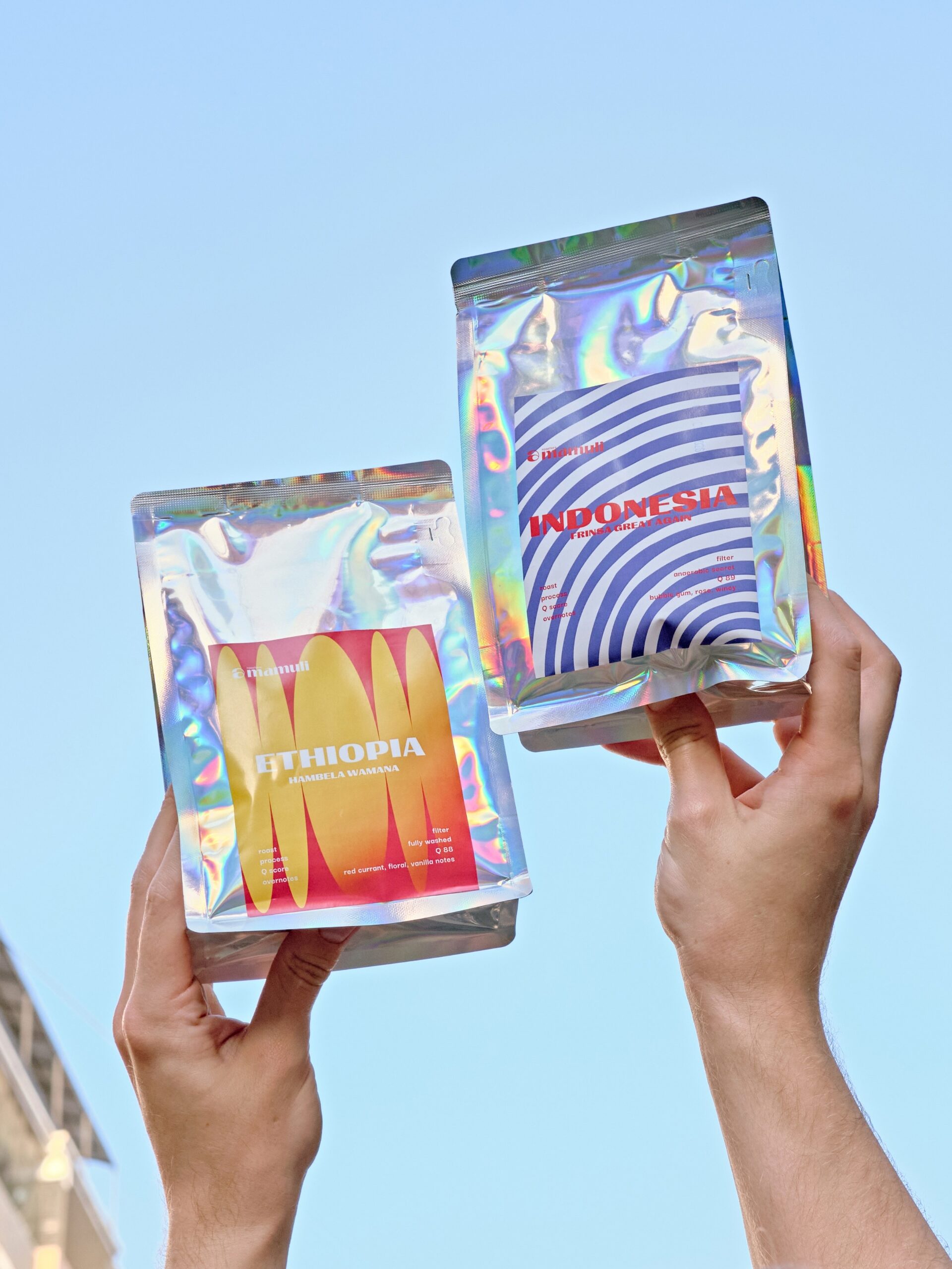 Two bags of specialty coffee beans held up against a blue sky